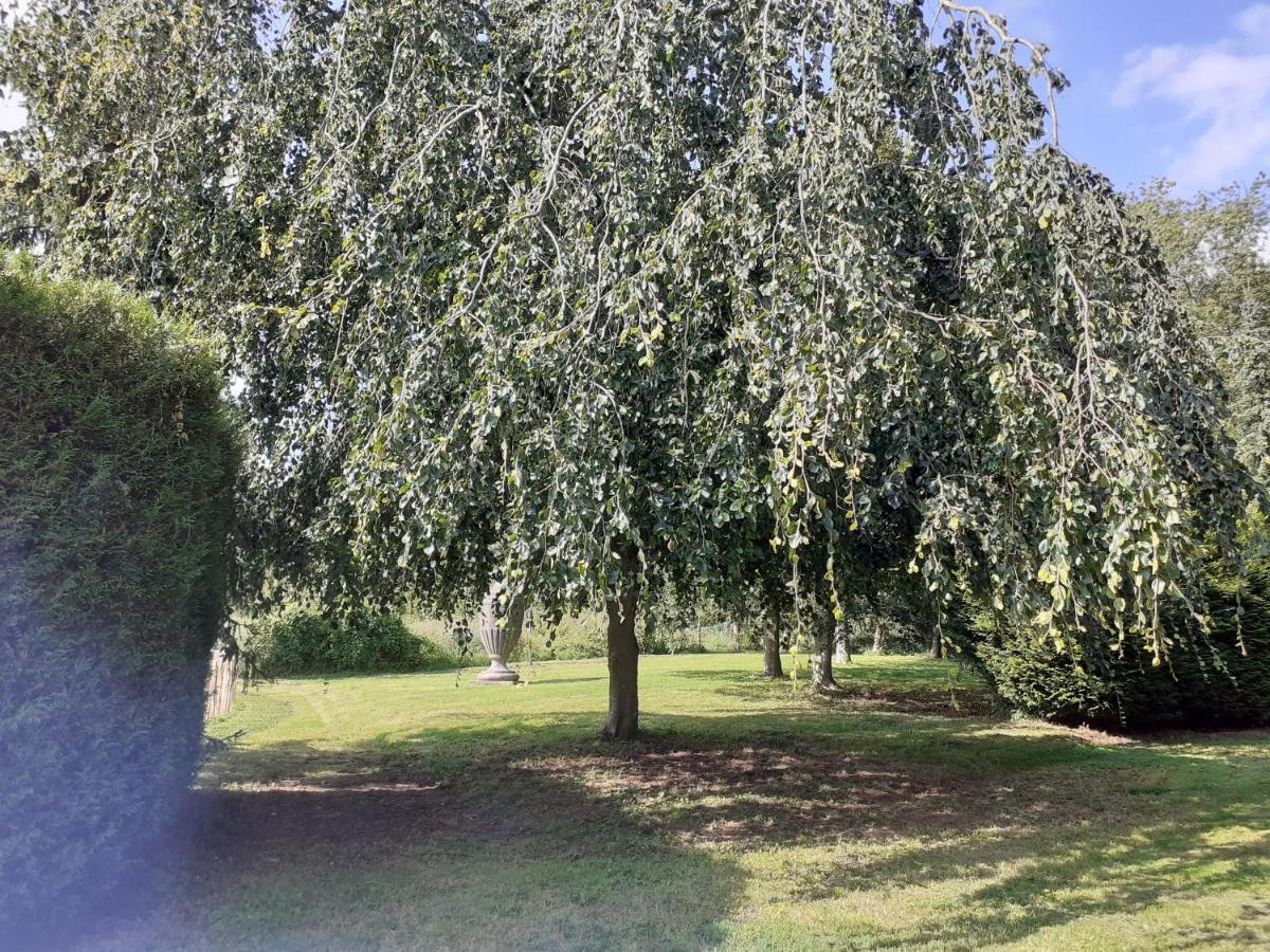 Manoir De Camblain Bed and Breakfast Εξωτερικό φωτογραφία